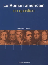 Le roman américain en question