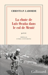 La chute de Luis Ocaña dans le col de Menté