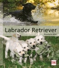 Labrador Retriever - Das große Rassehandbuch.