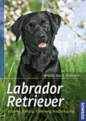 Labrador Retriever - Auswahl, Haltung, Erziehung, Beschäftigung.