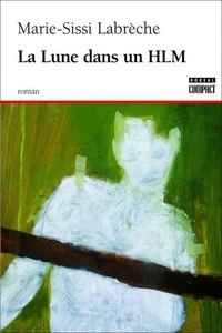 La lune dans un HLM