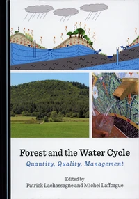 Forest and the Water Cycle