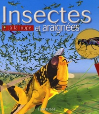 Lachlan McLaine - Insectes et araignées.