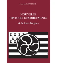 Nouvelle histoire des Bretagnes et de leurs langues