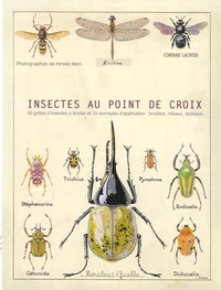 Insectes au point de croix