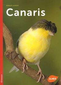 Canaris