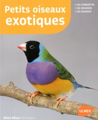 Petits oiseaux exotiques