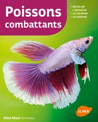Poissons combattants