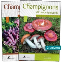 Champignons d'Europe tempérée