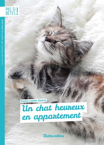 Un chat heureux en appartement