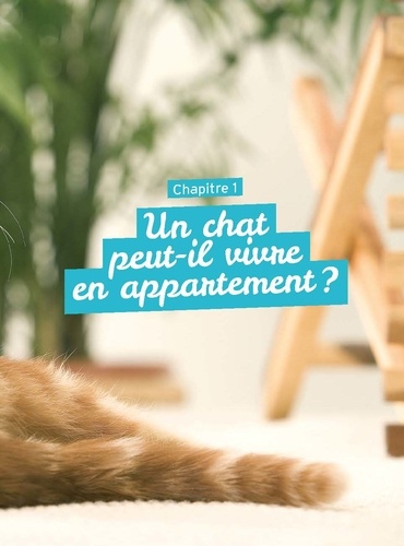 Un chat heureux en appartement