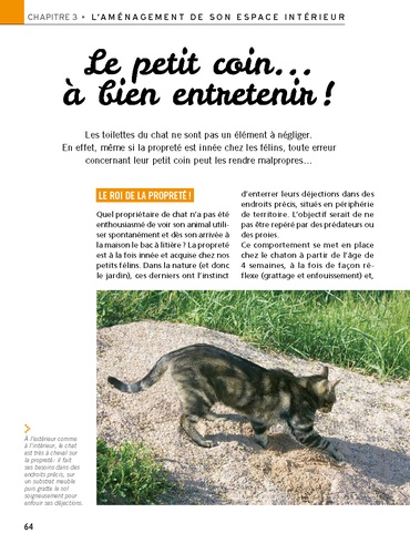 Un chat heureux en appartement