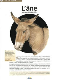 L'âne