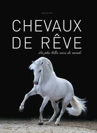 Chevaux de rêve