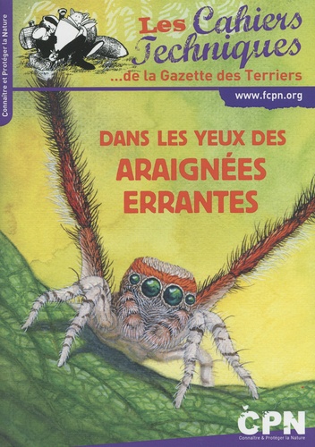 Laëtitia Garlantézec - Dans les yeux des araignées errantes.