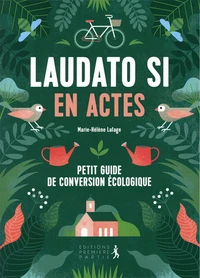 Laudato si en actes