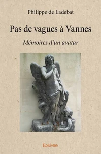 Pas de vagues à Vannes