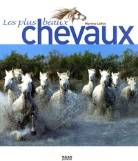 Les plus beaux chevaux