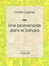 Une promenade dans le Sahara