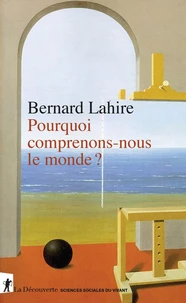 Pourquoi comprenons-nous le monde ?