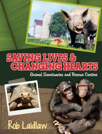 Saving Lives and Changing Hearts