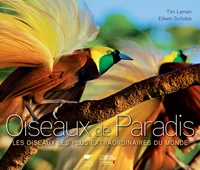 Oiseaux de paradis