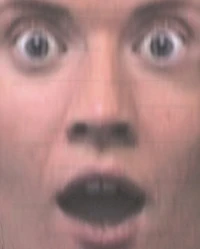 Hapiness is the only true emotion