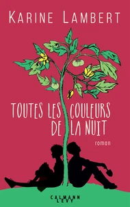 Toutes les couleurs de la nuit