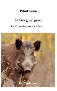 Le Sanglier jaune