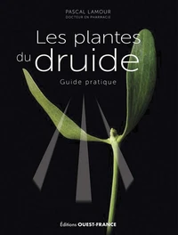 Les plantes du druide