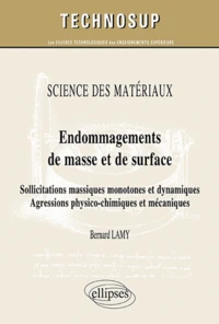 Endommagements de masse et de surface