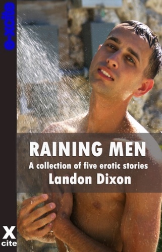 Raining Men. A collection of gay erotic stories
