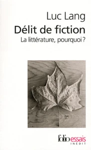 Délit de fiction
