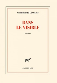 Dans le visible