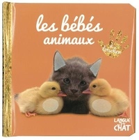  Langue au chat - Les bébés animaux.