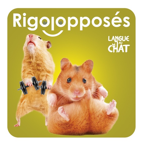 langue au chat livre bebe