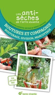 Boutures et compagnie