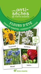 Fleurs d'été