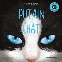 Vie de chaton