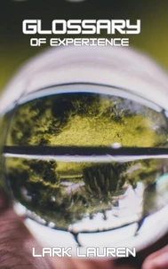 Grossary of Experience