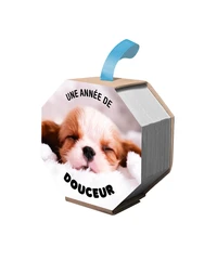Ephéméride - Une année de douceur