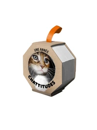 Une année chattitudes