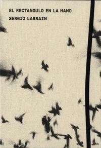El rectangulo en la mano