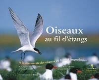 Oiseaux au fil d'étangs