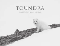 Toundra