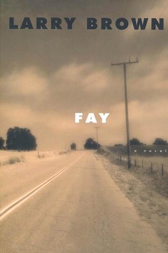 Fay. A Novel