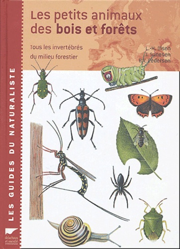 Lars-Henrik Olsen et Bente-Vita Pedersen - Les petits animaux des bois et forêts - Tous les invertébrés du milieu forestier.