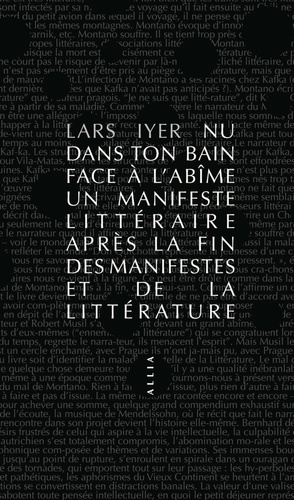 Nu dans ton bain face à l'abîme. Un manifeste littéraire après la fin des manifestes et de la littérature