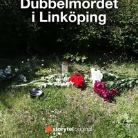 Dubbelmordet i Linköping. Förundersökningen