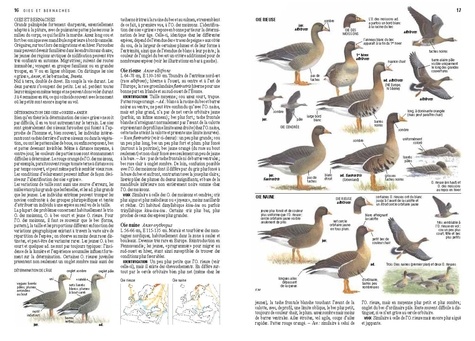 Le guide ornitho. Le guide le plus complet des oiseaux d'Europe, d'Afrique du Nord et du Moyen-Orient 3e édition